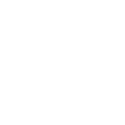 ear_icon