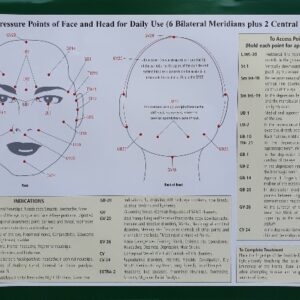 Acupressure Points (Face and Head) Chart