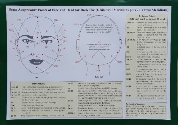 Acupressure Points (Face and Head) Chart