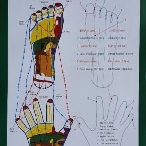 Flow Of CH'I Ebergy in Meridians Chart