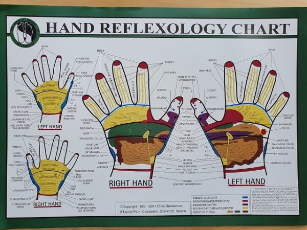 Hand Reflexology Chart